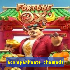 acompanhante chamada de video